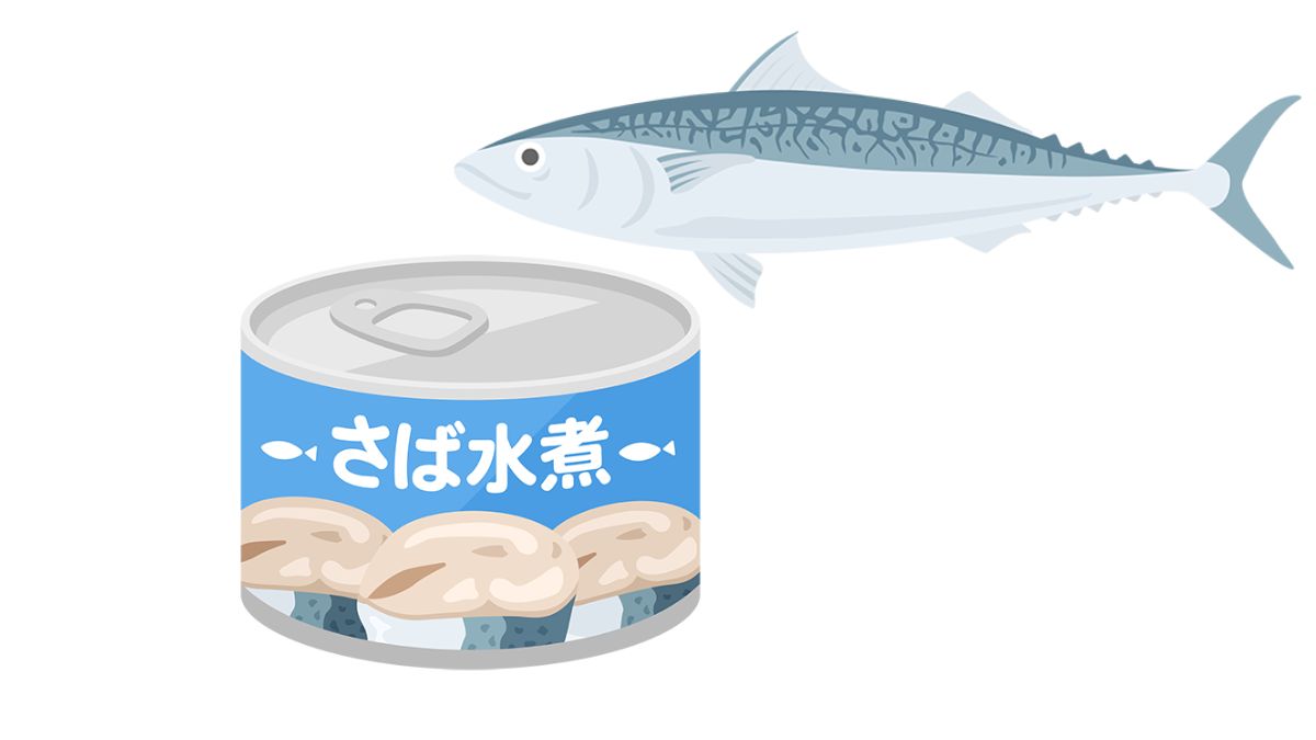 サバ缶イラスト